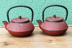 Paire de théières japonaises individuelles
