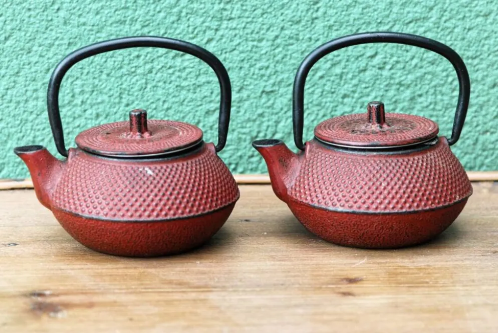 Paire de théières japonaises individuelles