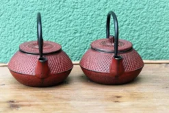 Paire de théières japonaises individuelles