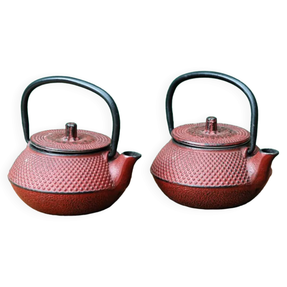 Paire de théières japonaises individuelles