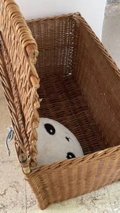 Panier COFFRE Rotin VINTAGE
