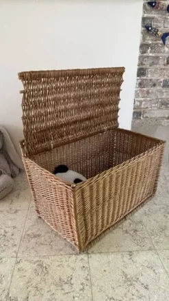 Panier COFFRE Rotin VINTAGE
