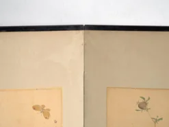 Paravent japonais ancien à deux feuilles avec peintures montées – Japon, vers 1900