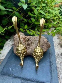 2 patères lion en laiton massif Art Nouveau
