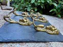5 patères lion en laiton massif Art Nouveau