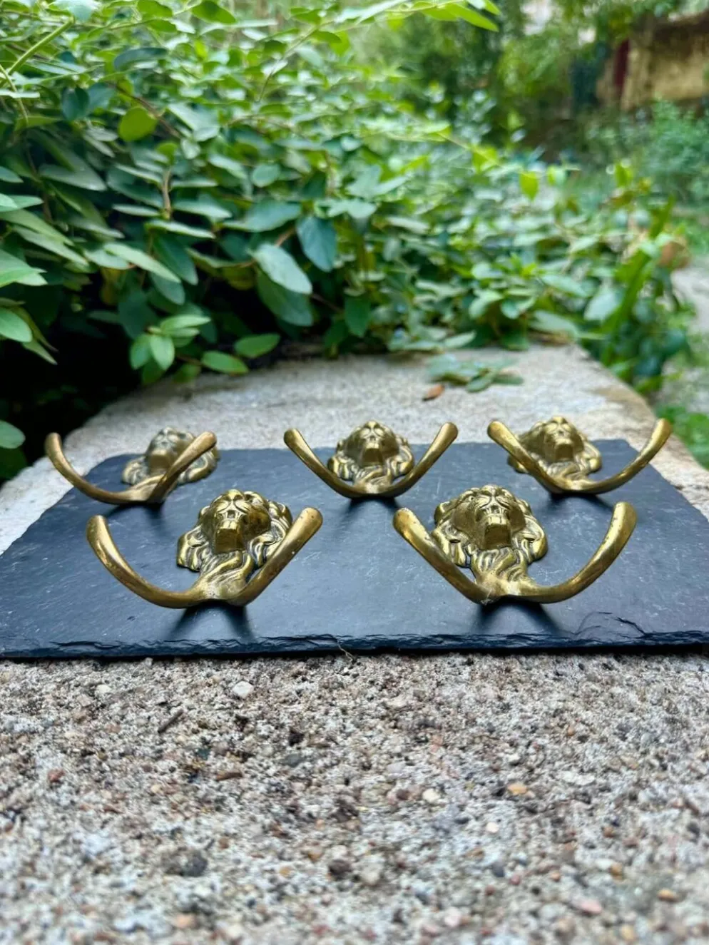 5 patères lion en laiton massif Art Nouveau