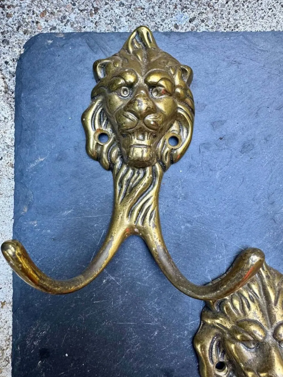 5 patères lion en laiton massif Art Nouveau