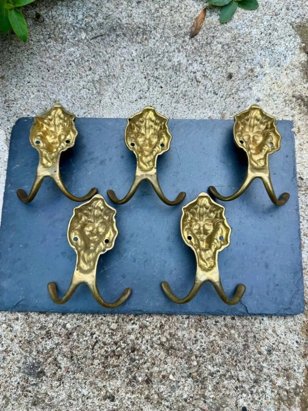 5 patères lion en laiton massif Art Nouveau
