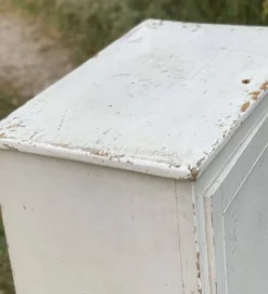 Petite armoire parisienne à 1 porte, confiturier vintage 1930-40