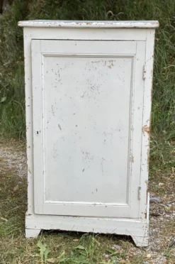 Petite armoire parisienne à 1 porte, confiturier vintage 1930-40