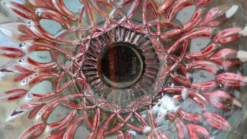Petite coupelle vintage en verre rose à décor floral – Fr années 60/70