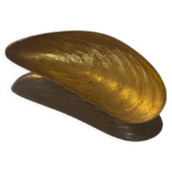 Petite salière coquille