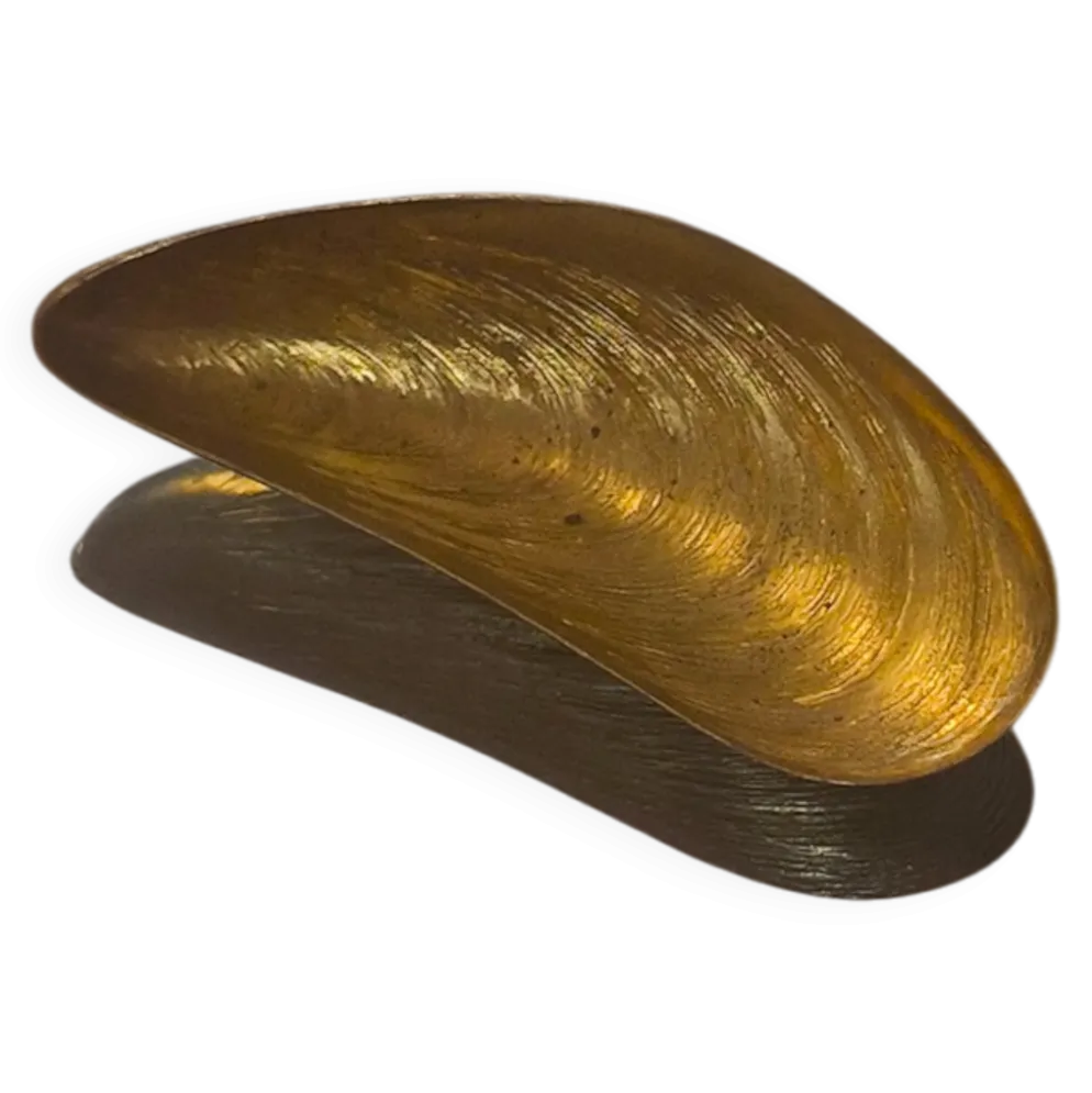 Petite salière coquille