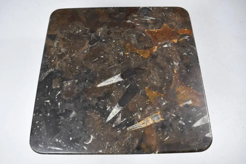 Petite table basse fossilisée vintage, années 1970.