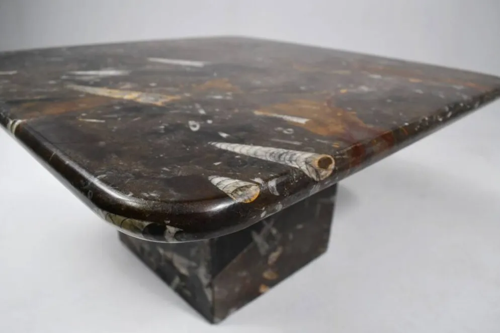 Petite table basse fossilisée vintage, années 1970.