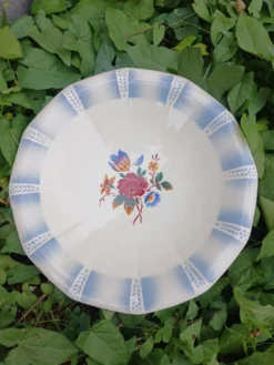 Petit plat ancien Sarreguemines