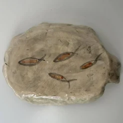 Petit plat poisson artisanal