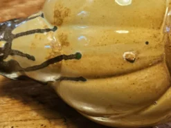 Pichet citrouille vintage en terre cuite vernissée, années 30