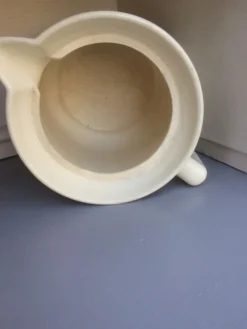 Pichet St Uze