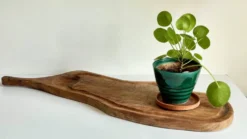 PLANCHE à Découper XL BOIS d’Olivier Vintage