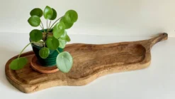 PLANCHE à Découper XL BOIS d’Olivier Vintage