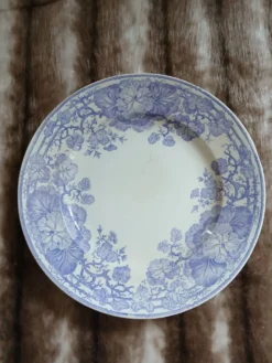 Plat ancien en terre de fer Sarreguemines