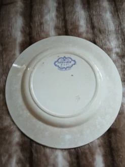 Plat ancien en terre de fer Sarreguemines