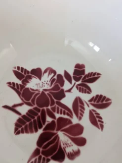 Plat creux Marsac Digoin Sarreguemines