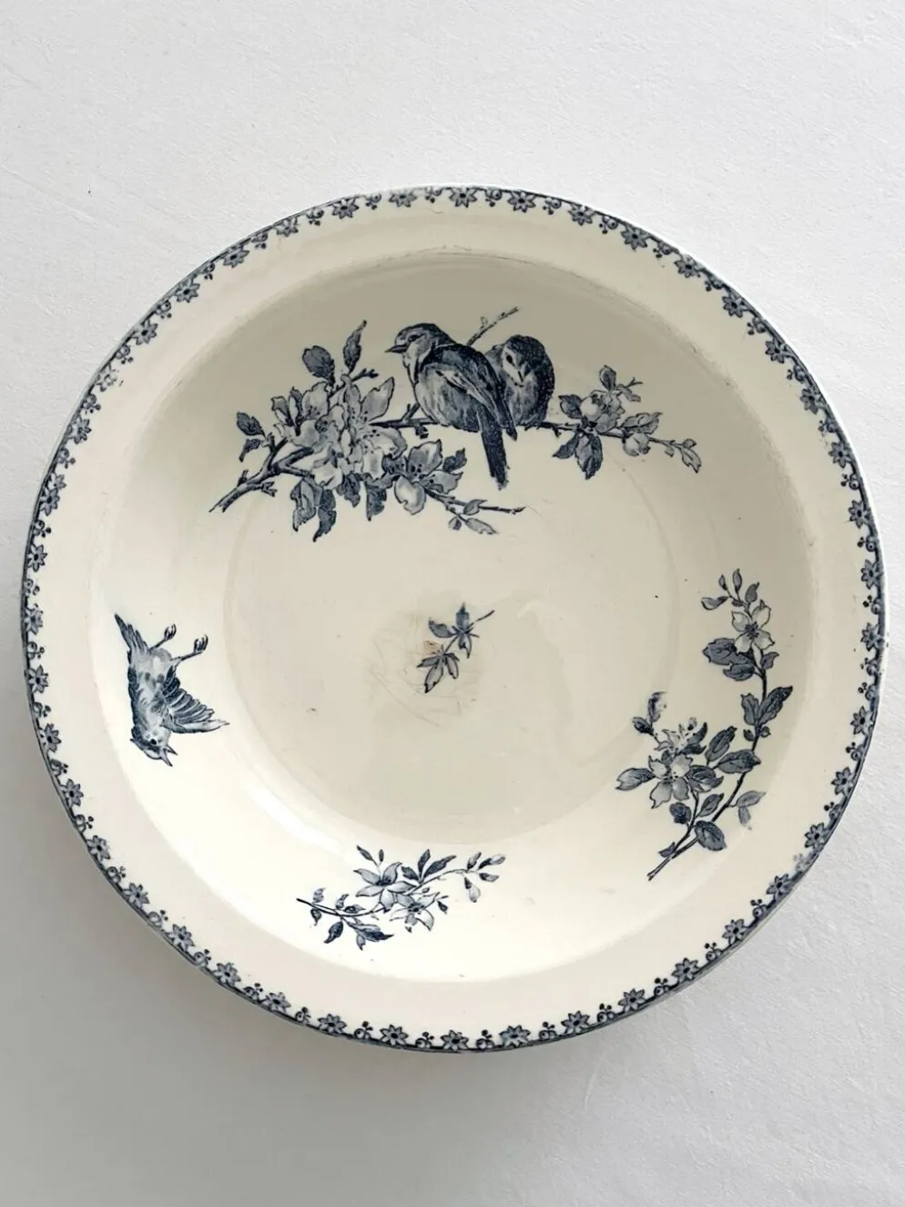 Plat creux saladier en terre de fer « Favori » Sarreguemines