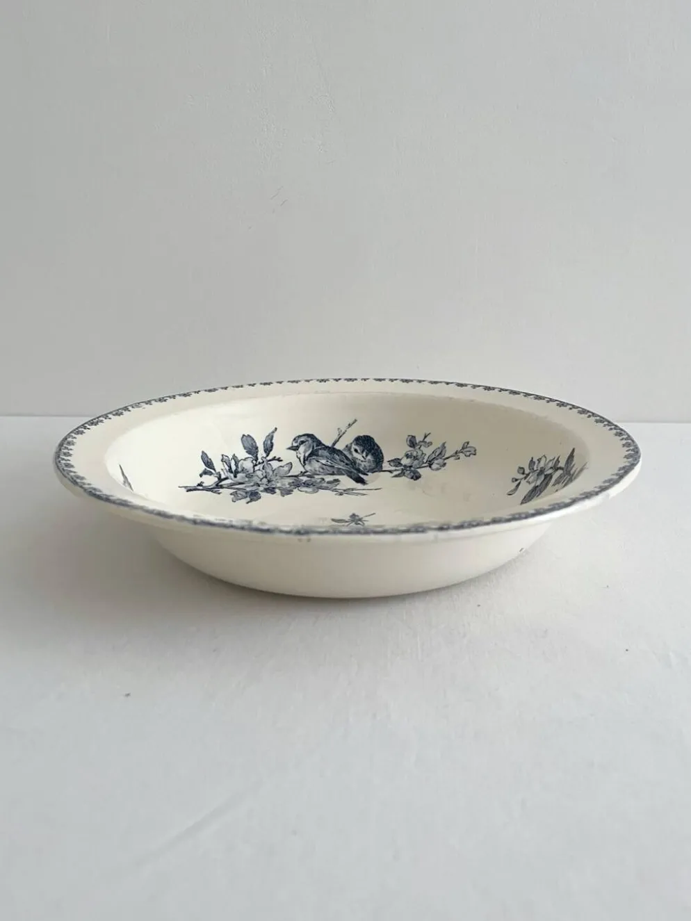 Plat creux saladier en terre de fer « Favori » Sarreguemines