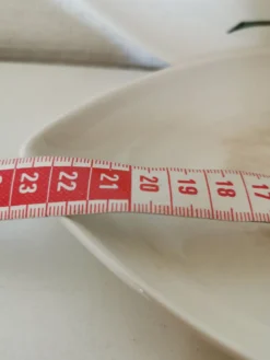 Plat de service , ravier Villeroy et boch forme de feuille