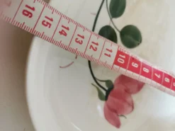 Plat de service , ravier Villeroy et boch forme de feuille