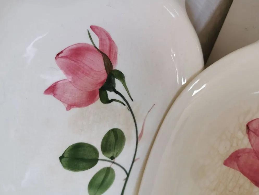 Plat de service , ravier Villeroy et boch forme de feuille