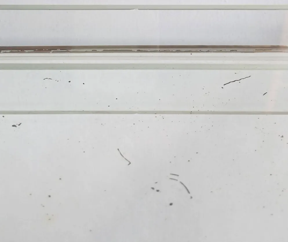 Plateau de courtoisie miroir, verre & bois exotique Art déco. Années 30