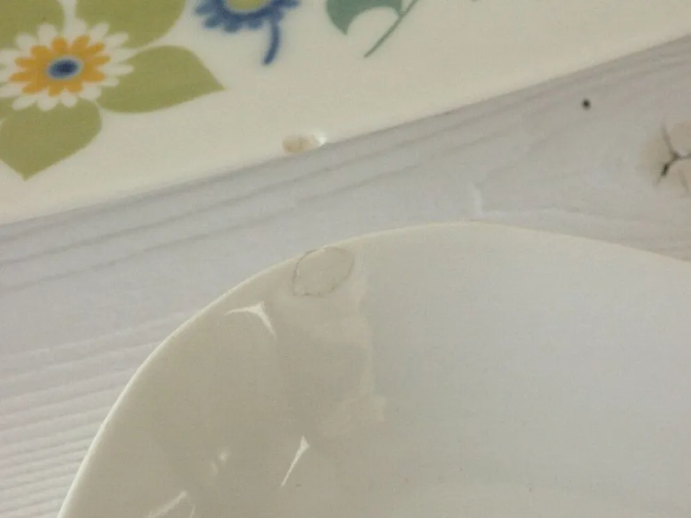 Plat et ravier porcelaine Masse & Surget France vintage 70/80