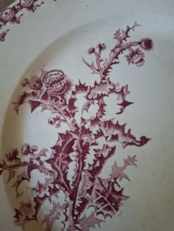 Plat faïencerie girns chardon en rouge
