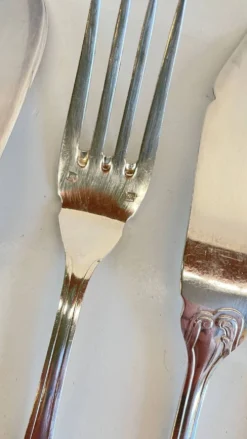PLATIL 12 Couverts à Poisson Métal Argenté
