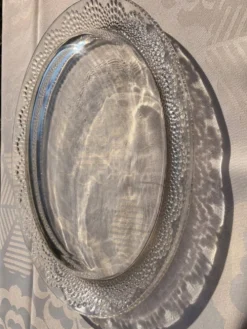 Plat ovale, jardinière Tokyo signé R. Lalique