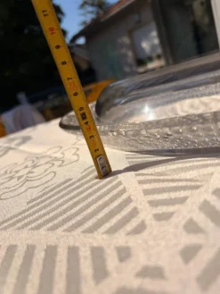 Plat ovale, jardinière Tokyo signé R. Lalique