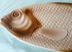 Plat à poisson Salins-les Bains
