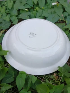 Plat rond creux Digoin et Sarreguemines