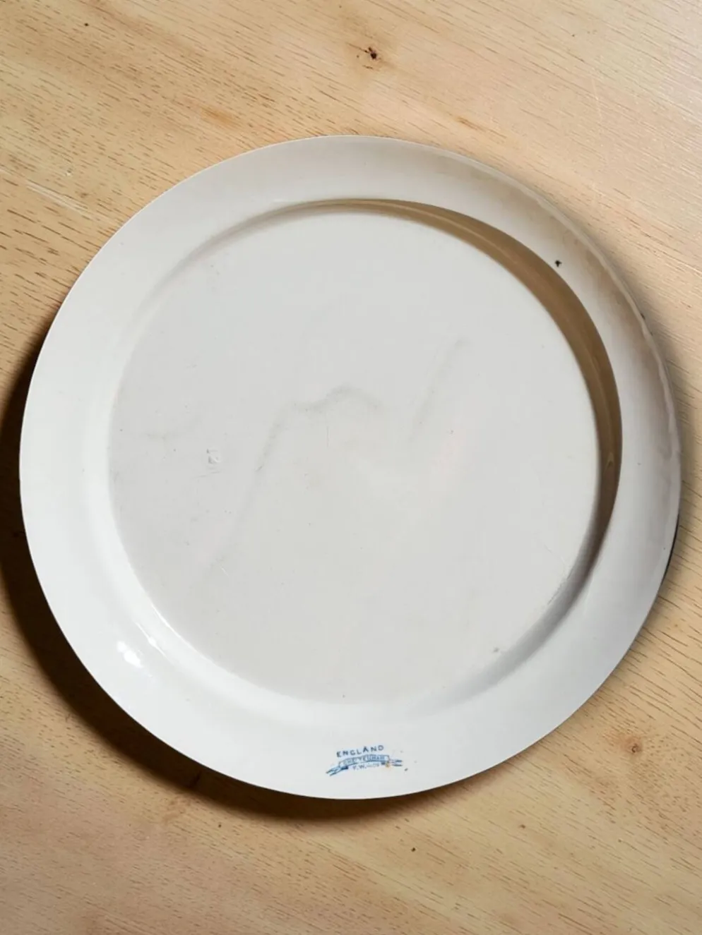 Plat rond semi creux en faïence anglaise "Cheltenham" — F. Winkle & Co