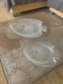 Plats Arcoroc pour Codec