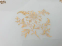 Plats de service et soupière en porcelaine de luxe de la compagnie nationale