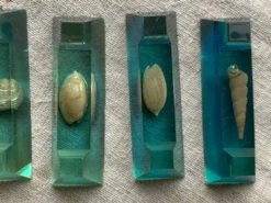 Porte -couteau résine inclusion coquillages 1950