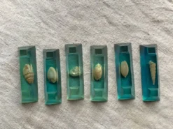 Porte -couteau résine inclusion coquillages 1950