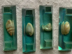 Porte -couteau résine inclusion coquillages 1950