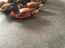Porte-couteaux canards