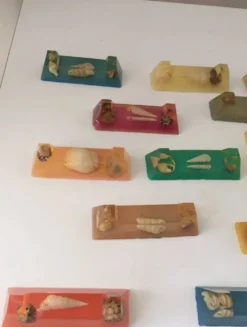 Porte-couteaux inclusion résine coquillage 1950 Vintage