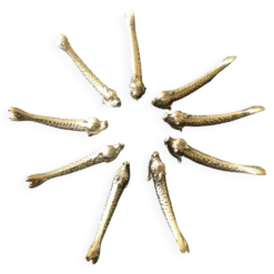 Porte-couteaux poissons